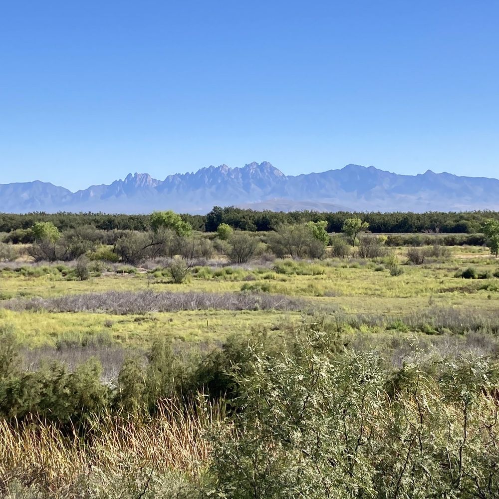 Mesilla Valley Bosque State Park - View towards the Organ Mtns from the Riverside overlook - Parks Near Me - Las Cruces, New Mexico Mesilla Valley Bosque State Park - View towards the Organ Mtns from the Riverside overlook - Parks Near Me - Las Cruces, New Mexico