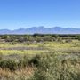 Photo of Mesilla Valley Bosque State Park