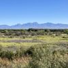 Mesilla Valley Bosque State Park gift card