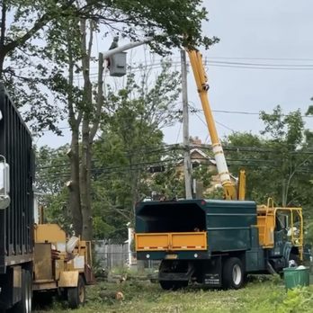 Freeport Tree Services - Bucket truck to remove any small or big branches with out messing up your tree - Tree Services Near Me Freeport Tree Services - Bucket truck to remove any small or big branches with out messing up your tree - Tree Services Near Me