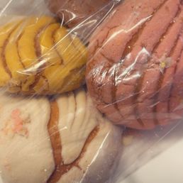 Conchas Conchas