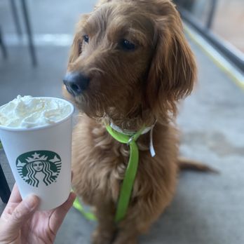 Starbucks - Coffee & Tea Near Me - Scottsdale, Arizona Starbucks - Coffee & Tea Near Me - Scottsdale, Arizona