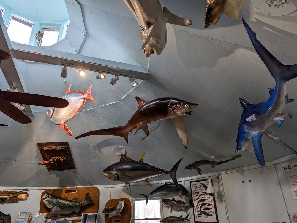 Marine Mammal Stranding Center Image