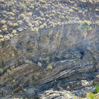 Indian Canyons - Parks Near Me - Palm Springs, California