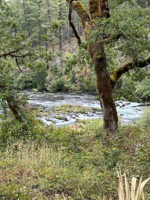 Steamboat Inn by null