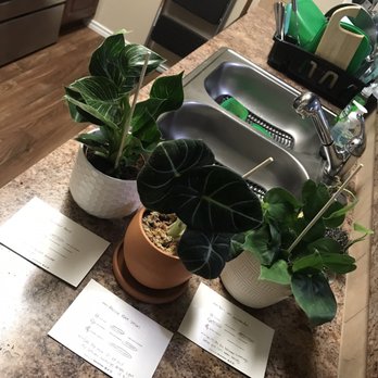 Sac City Stems - Nurseries & Gardening Near Me - Sacramento, California