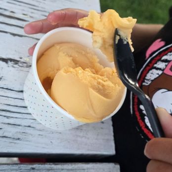 Dairyland - Mango Sorbet - Ice Cream & Frozen Yogurt Near Me - Thermopolis, Wyoming