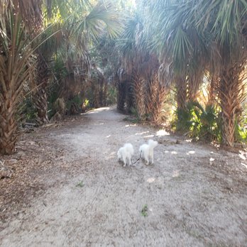 Wall Springs Park - undefined - Parks Near Me - Palm Harbor, Florida Wall Springs Park - undefined - Parks Near Me - Palm Harbor, Florida