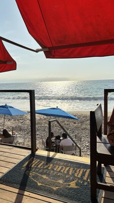 El Barracuda by null