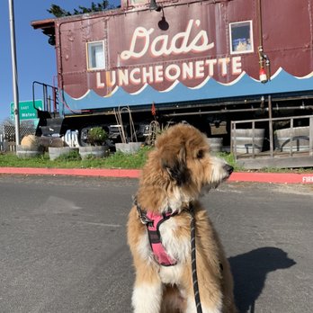 Dad's Luncheonette - New American Near Me - Half Moon Bay, California