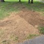 Stump Pro Land Services