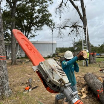 ArborZone - Tree Services Near Me