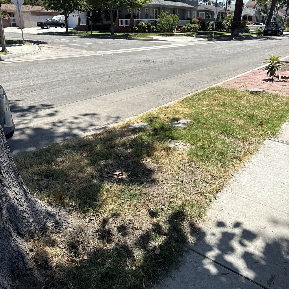 Dantastic Services - Before- weeds!! - Landscaping Near Me - Long Beach, California
