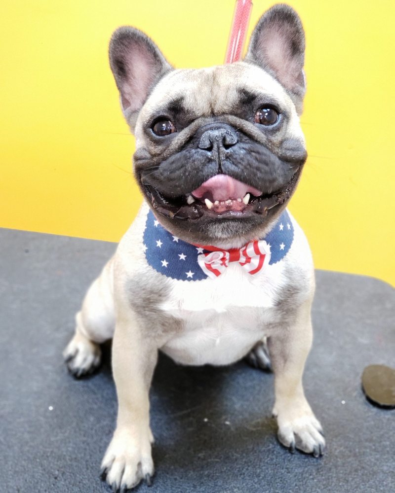 SHORTY STYLES Updated August 2024 52 Photos & 28 Reviews 6042 W