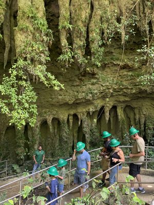 Parque Nacional de las Cavernas del Río Camuy by null