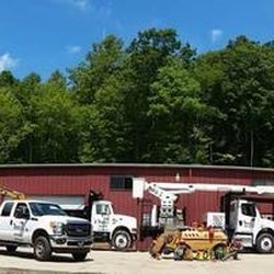 Trinity Tree Services - untitled