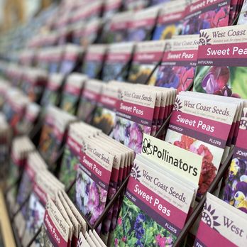 Amsterdam Garden Centre - Best Selection of Seeds - Nurseries & Gardening Near Me - Pitt Meadows, British Columbia Amsterdam Garden Centre - Best Selection of Seeds - Nurseries & Gardening Near Me - Pitt Meadows, British Columbia
