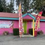 Photo of Squatchee's Scoops & Swirls