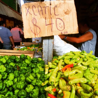 Mercado Lucas De Galvéz by null