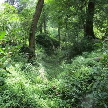Hilltop Arboretum - Parks Near Me - Baton Rouge, Louisiana Hilltop Arboretum - Parks Near Me - Baton Rouge, Louisiana