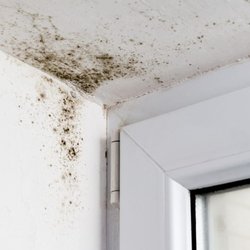Spotless Floor Care & Emergency Water Removal