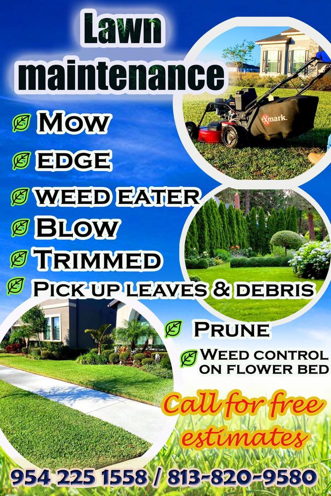 Tuzos Landscaping - tree service in Tampa, FL