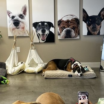 Fur Seasons Dog Spa - Pet Groomers Near Me - Costa Mesa, California