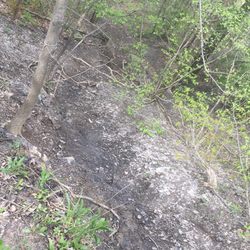 Fall Brook - Path down