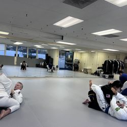 Alameda Brazilian Jiu-Jitsu & Self-Defense Academy - Brazilian Jiu-Jitsu beginner class on Saturday at 8am .