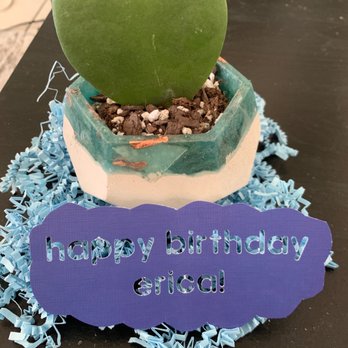 Pita's Planters - Gardeners Near Me - Dallas, Texas