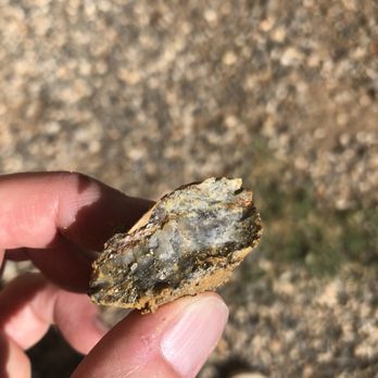 Capital Prize Gold Mine Tours - Tours Near Me - Georgetown, Colorado