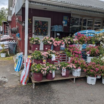 Van Houten Farms - Seasonal plants by the register - Farmers Market Near Me - Orangeburg, New York Van Houten Farms - Seasonal plants by the register - Farmers Market Near Me - Orangeburg, New York