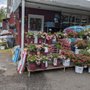 Photo of Van Houten Farms