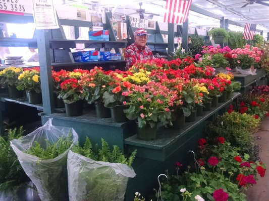 Montgomery Curb Market by null