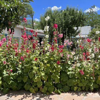 La Cueva Cafe - You are surrounded by beauty! - Mexican Near Me - Taos, New Mexico La Cueva Cafe - You are surrounded by beauty! - Mexican Near Me - Taos, New Mexico