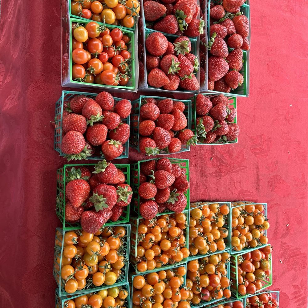 Saturday Farmer's Market - Strawberries and tomatoes - Farmers Market Near Me - Berkeley, California