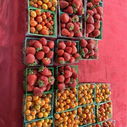 Saturday Farmer's Market - Strawberries and tomatoes