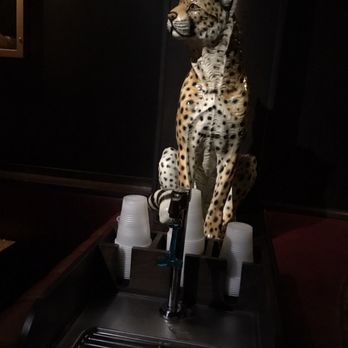 Goldie's - a cheetah sitting on top of a coffee machine - Bars Near Me - Brooklyn, New York Goldie's - a cheetah sitting on top of a coffee machine - Bars Near Me - Brooklyn, New York