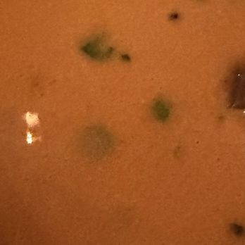 Roots Steakhouse - Lobster bisque. - Steakhouses Near Me - Morristown, New Jersey Roots Steakhouse - Lobster bisque. - Steakhouses Near Me - Morristown, New Jersey