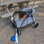 Photo of Los Altos Hills Dog Park