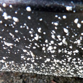 Ardsley Car Wash - Close up of white splatter - Auto Detailing Near Me - Ardsley, New York