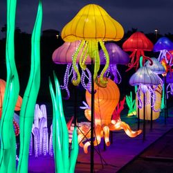 Lantern Light Festival - Mini Golf lanterns