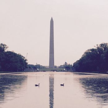 Washington Monument - Two geese capture... - Landmarks & Historical Buildings Near Me - Washington, DC, District of Columbia Washington Monument - Two geese capture... - Landmarks & Historical Buildings Near Me - Washington, DC, District of Columbia