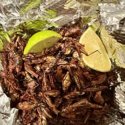 Cafe Guanaco & La Oaxaquena  - Chapulines