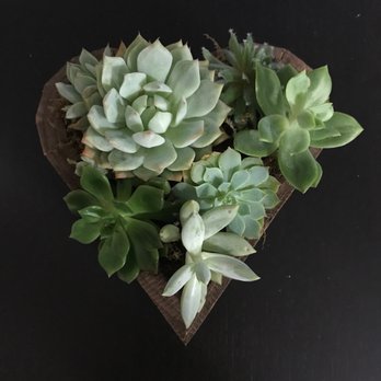 Bloomers - Florists Near Me - San Diego, California