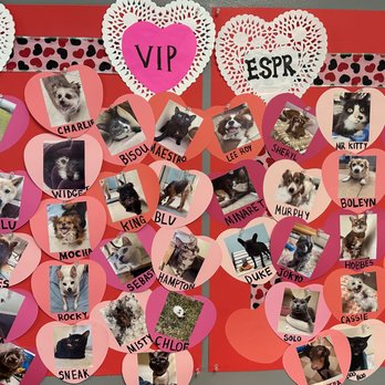 El Segundo Pet Resort - El Segundo Pet Resorts VIP Valentine Pets! - Pet Groomers Near Me - El Segundo, California