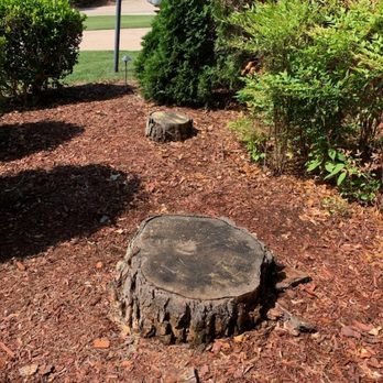 Fernando´s Tree Services - Tree Services Near Me - Stone Mountain, Georgia