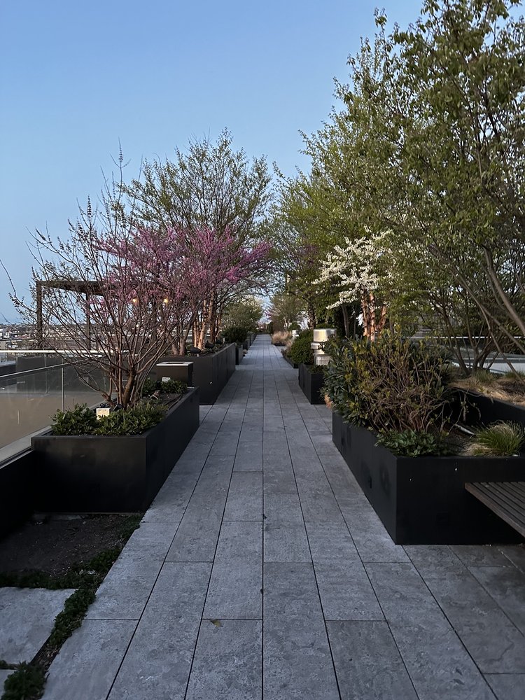 DENIZEN BUSHWICK Updated September 2024 123 Melrose St, Brooklyn