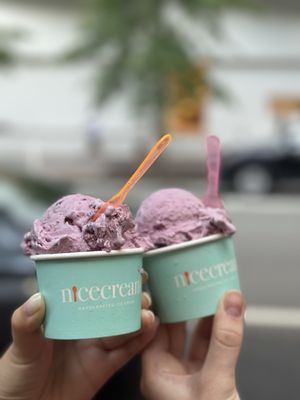 Nicecream by null