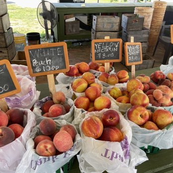 Hayden Peach Orchard - Pick Your Own Farms Near Me - Wading River, New York Hayden Peach Orchard - Pick Your Own Farms Near Me - Wading River, New York